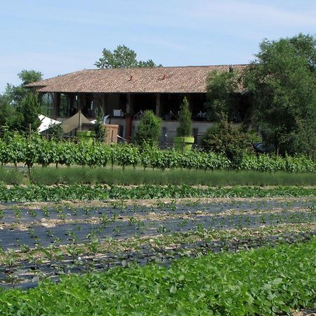 Agriturismo Cascina Caremma Besate Zewnętrze zdjęcie