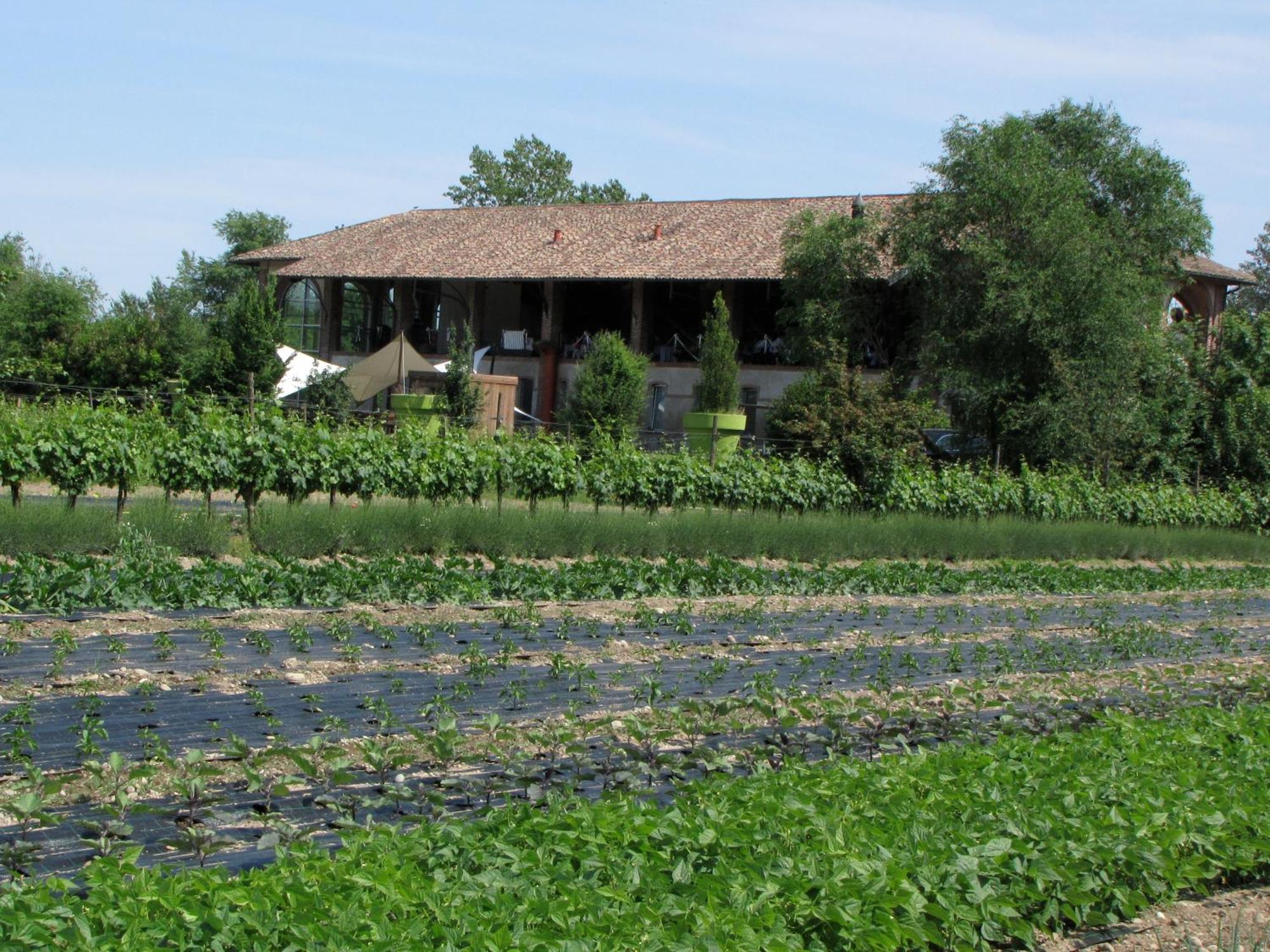 Agriturismo Cascina Caremma Besate Zewnętrze zdjęcie