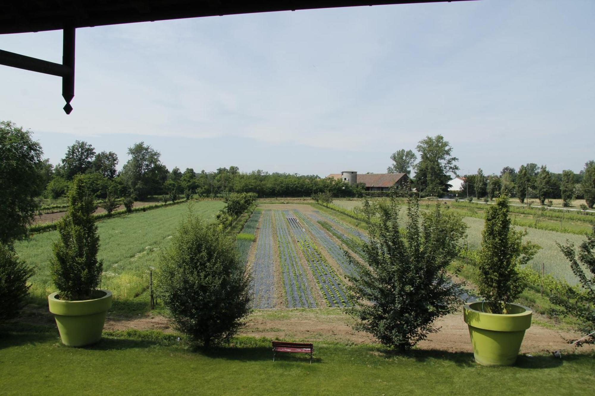 Agriturismo Cascina Caremma Besate Zewnętrze zdjęcie
