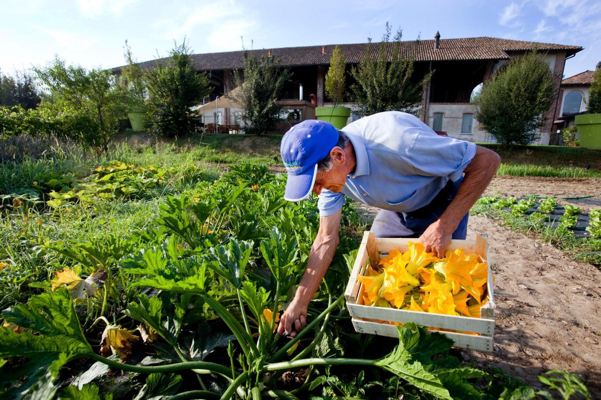Agriturismo Cascina Caremma Besate Zewnętrze zdjęcie