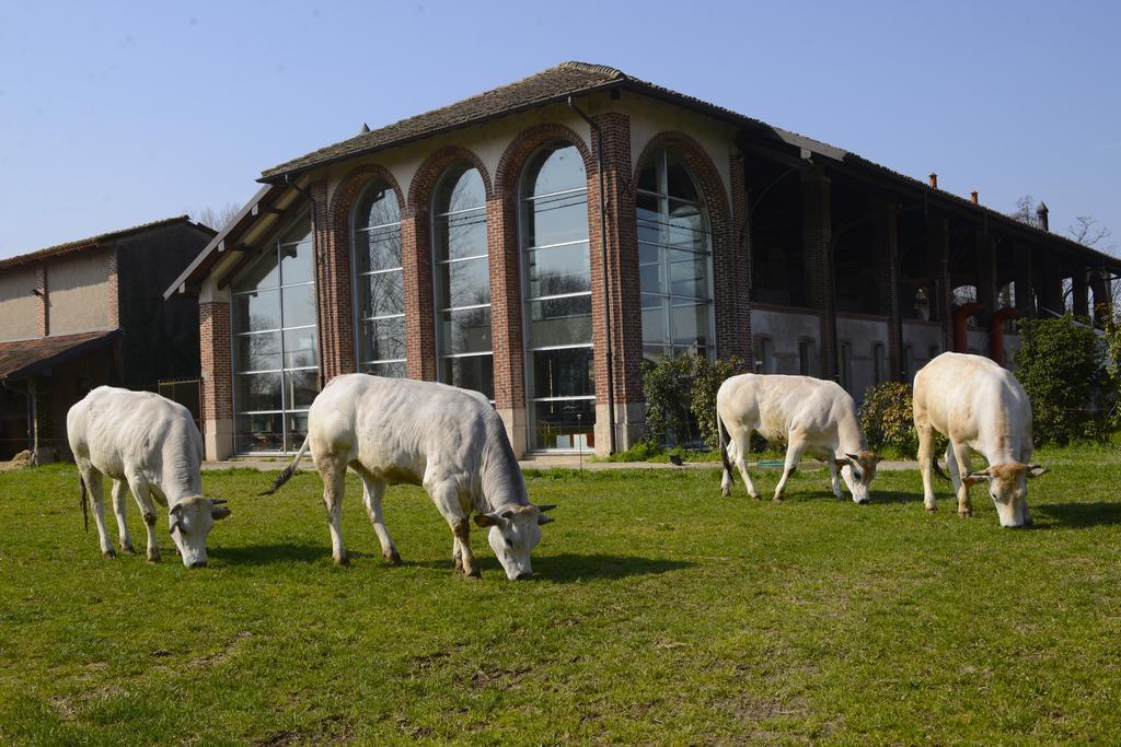 Agriturismo Cascina Caremma Besate Zewnętrze zdjęcie